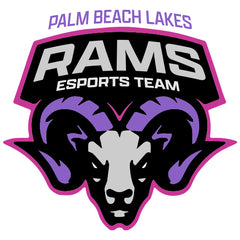 Palm Beach Lakes Esports