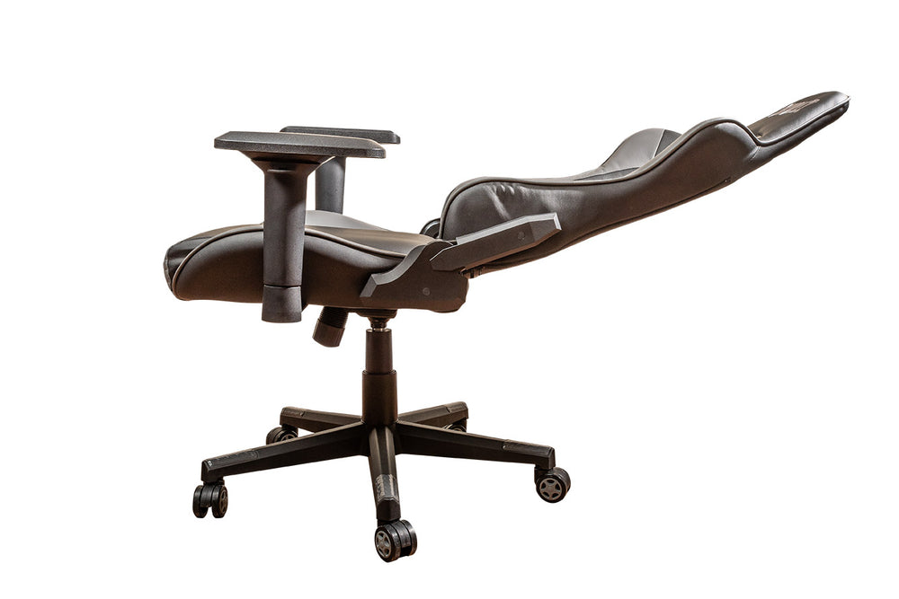 
                  
                    Racer Gamer Chair - Skullz GGC01
                  
                