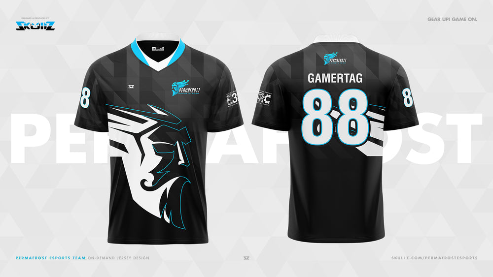
                  
                    E3 Robotics Permafrost - Skullz PRO Esports Jersey
                  
                