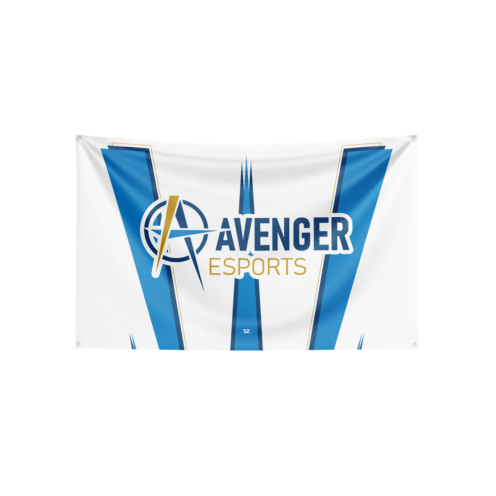 Alliance Academy - Flag