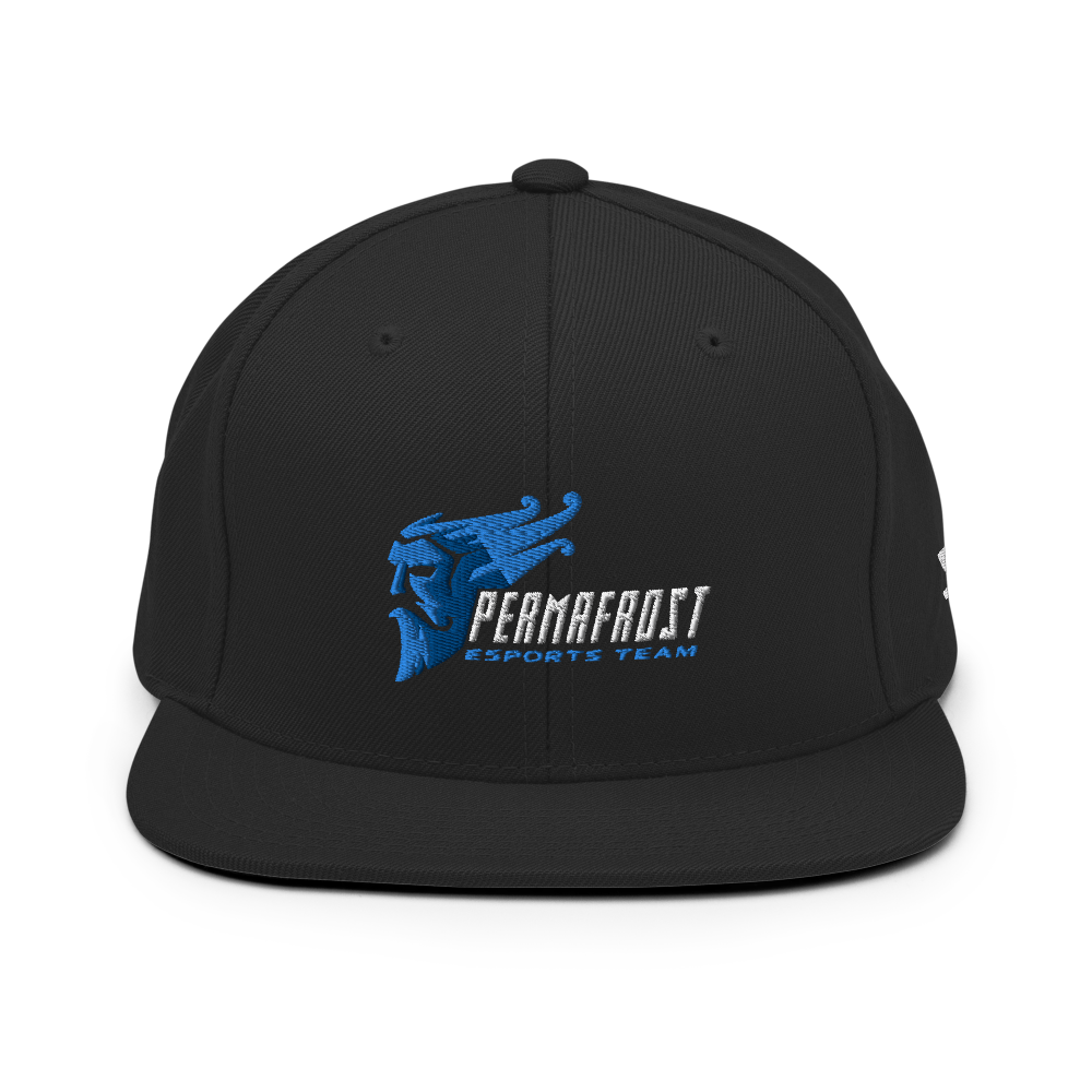 
                  
                    E3 Robotics Permafrost - Snapback Hat
                  
                
