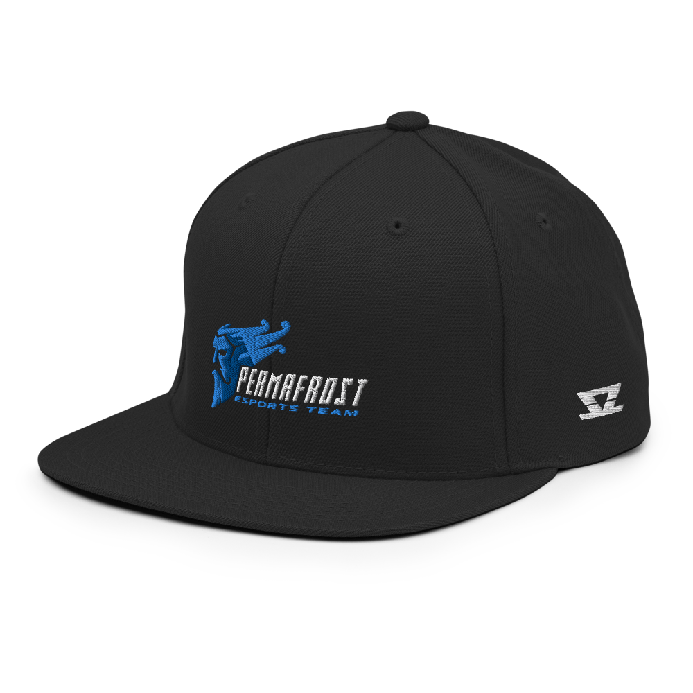 
                  
                    E3 Robotics Permafrost - Snapback Hat
                  
                