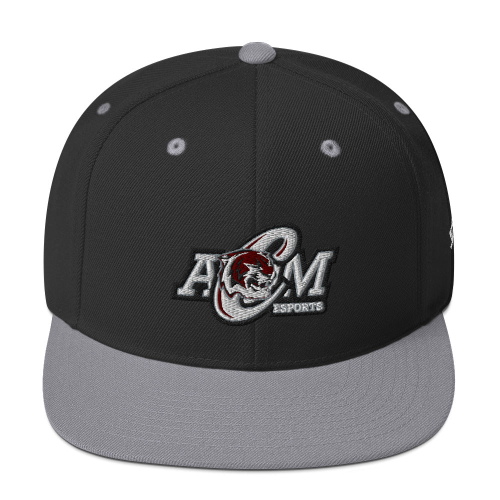 
                  
                    AMCHS - Snapback Hat
                  
                