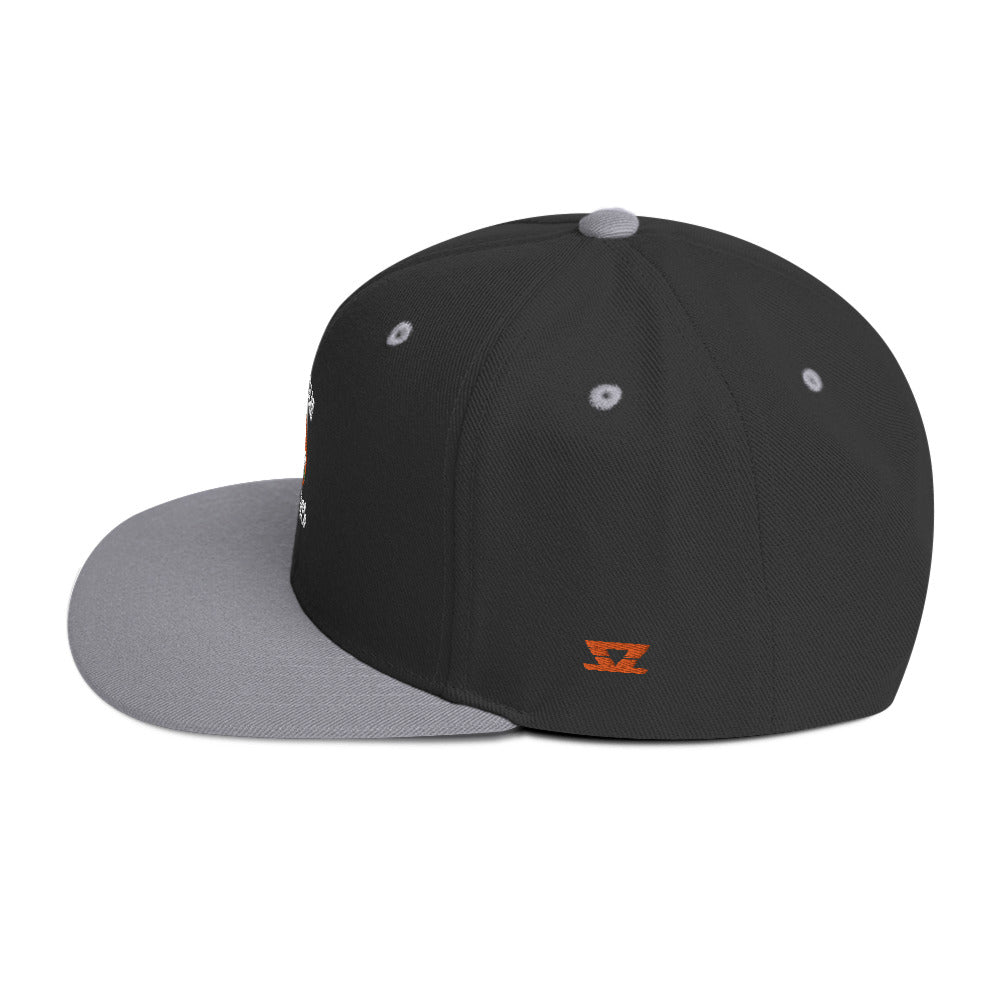 
                  
                    Lincoln Esports - Snapback Hat
                  
                