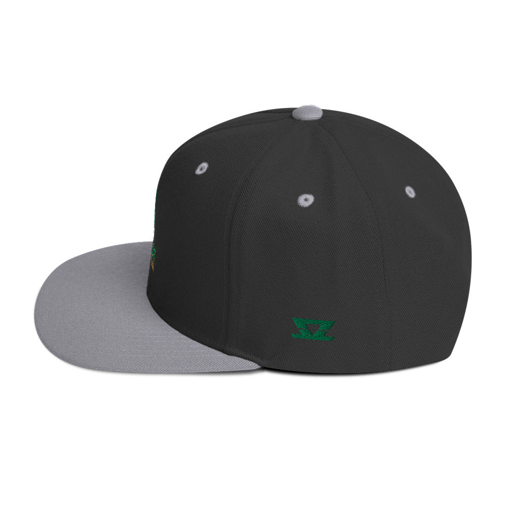 
                  
                    VVECHS - Snapback Hat
                  
                