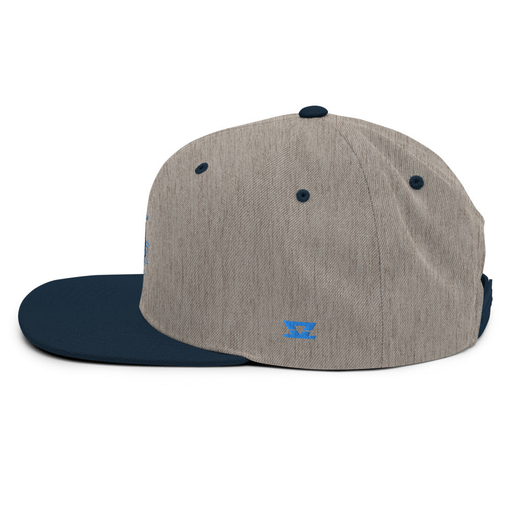 
                  
                    CVHS - Snapback Hat
                  
                