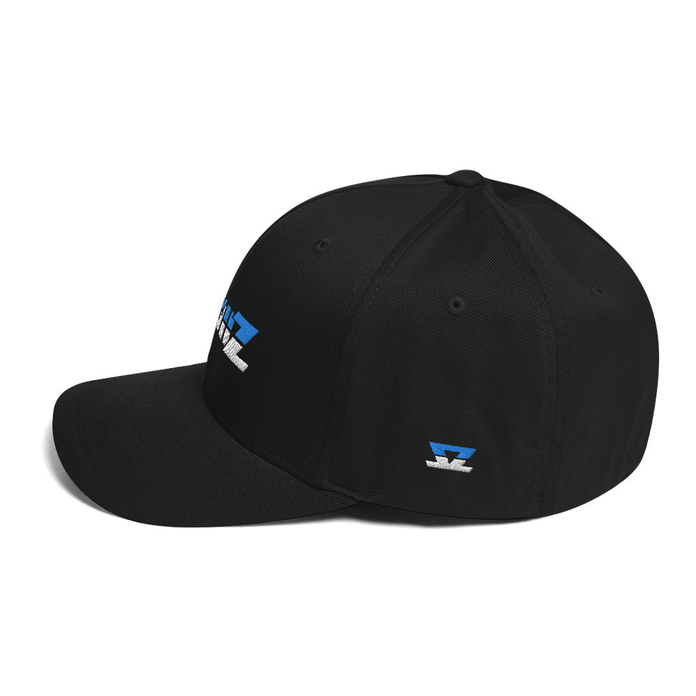 Skullz FlexFit Structured Twill Cap - Black – Skullz