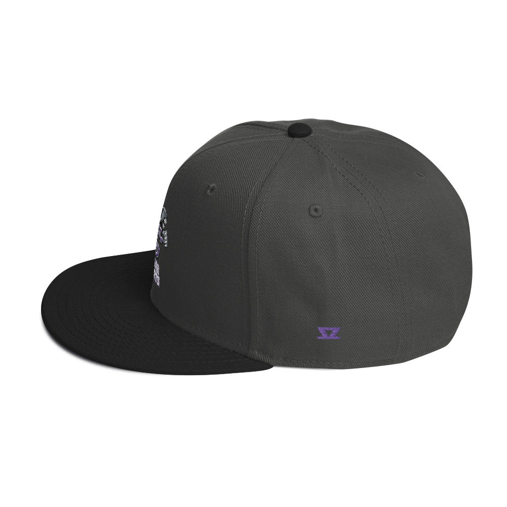 
                  
                    CSHS - Snapback Hat
                  
                