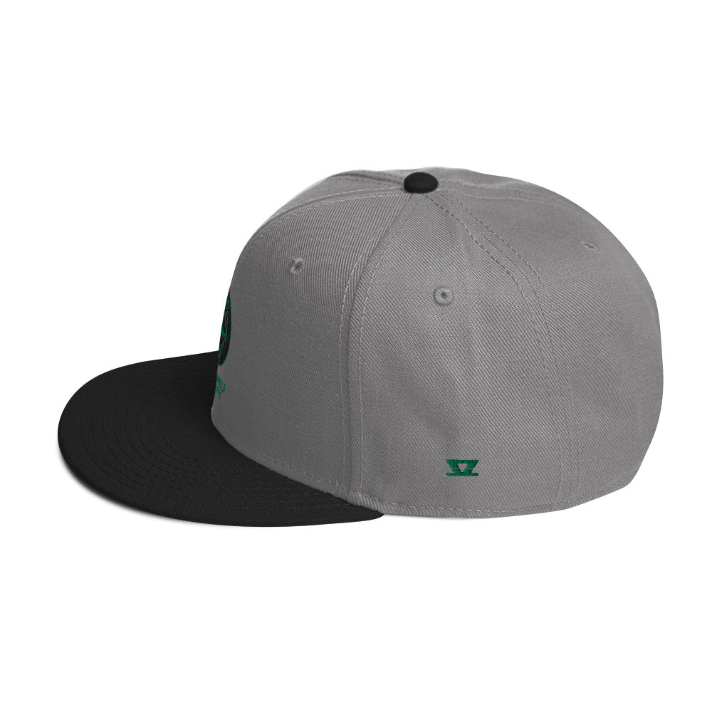 
                  
                    BVSW - Snapback Hat
                  
                