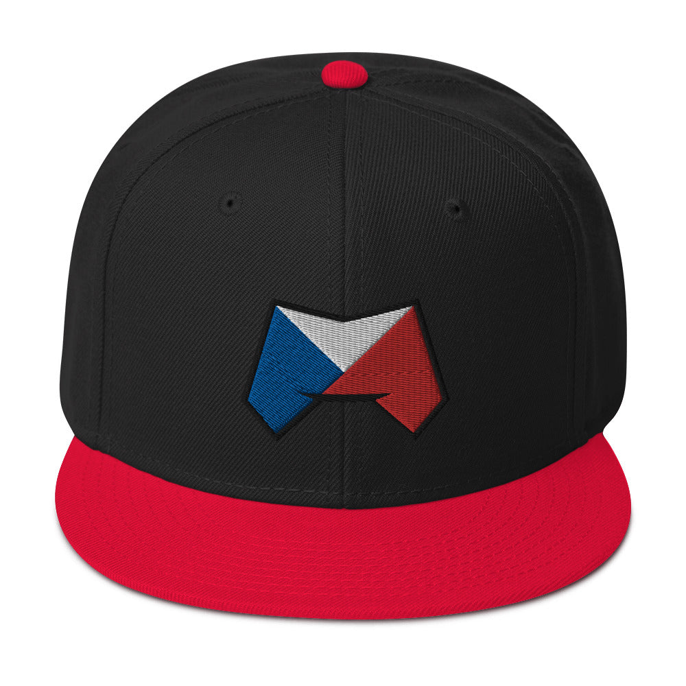 TEXSEF - Snapback Hat