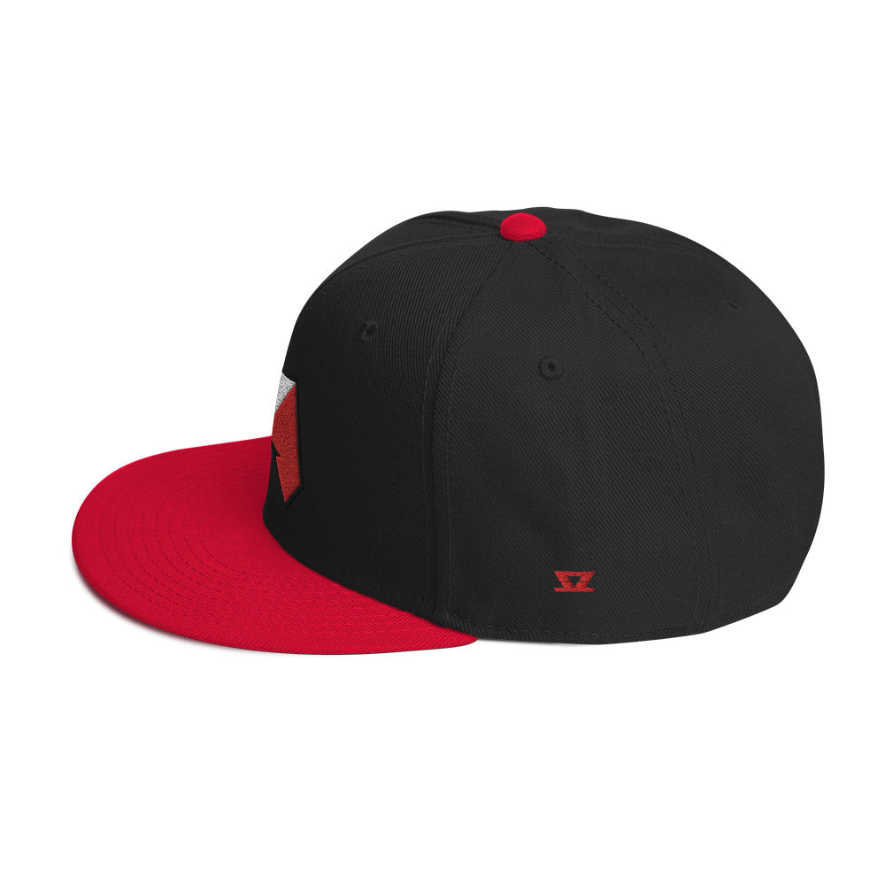 
                  
                    TEXSEF - Snapback Hat
                  
                