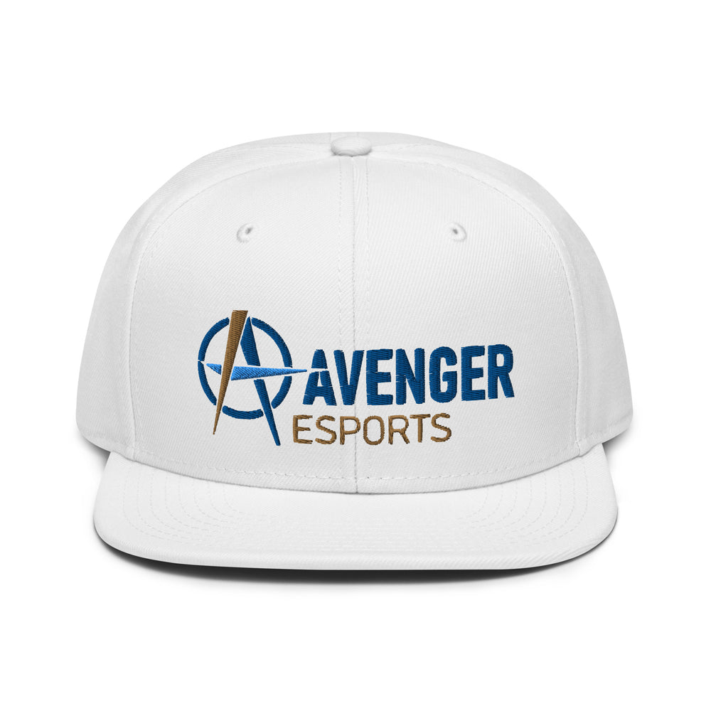 
                  
                    Alliance Academy - Snapback Hat
                  
                